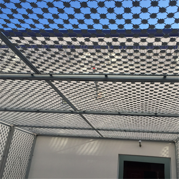 梅花刺隔離網案例展示圖片4