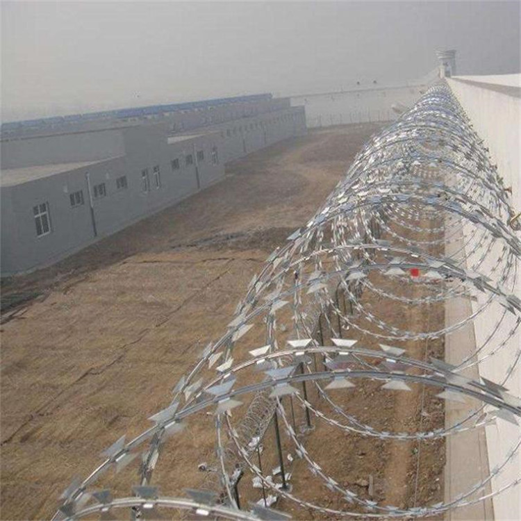 刀片刺網案例展示圖片4 刀片刺網案例展示圖片4