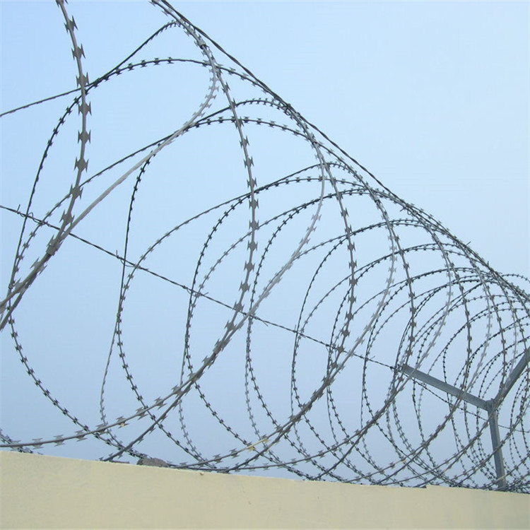 螺旋刀刺網(wǎng)案例展示圖片4 螺旋刀刺網(wǎng)案例展示圖片4